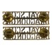 Pair of Royal Scots Dragoon Guards (ROYAL SCOTS / DRAGOON GDS) Anodised (Staybrite) Shoulder Titles