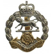 Royal Hampshire Regiment Anodised (Staybrite) Cap Badge