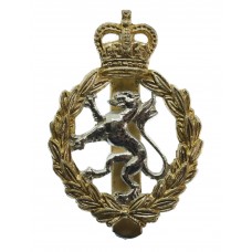 Women's Royal Army Corps (W.R.A.C.) Anodised (Staybrite) Cap Badge