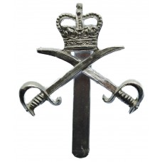 Army Physical Training Corps (A.P.T.C.) Anodised (Staybrite) Cap Badge