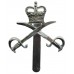 Army Physical Training Corps (A.P.T.C.) Anodised (Staybrite) Cap Badge