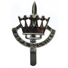 Home Counties Brigade Anodised (Staybrite) Cap Badge