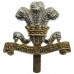 10th Royal Hussars Anodised (Staybrite) Cap Badge