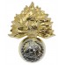 Royal Regiment of Fusiliers Anodised (Staybrite) Cap Badge