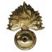 Royal Regiment of Fusiliers Anodised (Staybrite) Cap Badge