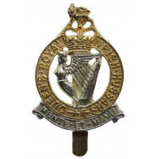 Queen's Royal Irish Hussars Anodised (Staybrite) Cap Badge - Queen's Crown (1st Pattern)