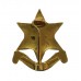Burma Star Association Enamelled Lapel Badge