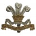 The Royal Hussars Anodised (Staybrite) Cap Badge