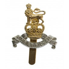 Royal Army Pay Corps (R.A.P.C.) Anodised (Staybrite) Beret Badge 