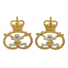 Pair of Staffordshire Regiment Officer's Silvered & Gilt Coll
