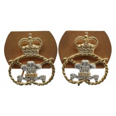 Pair of Staffordshire Regiment Anodised (Staybrite) Collar Badges