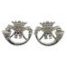 Pair of Duke of Cornwall's Light Infantry Anodised (Staybrite) Collar Badges