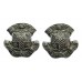 Pair of Durham County Constabulary Chrome Collar Badges 