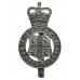 Durham Constabulary Cap Badge - Queen's Crown