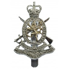 Queen's Own Dorset & West Somerset Yeomanry Anodised (Staybri