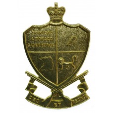 Trinidad & Tobago Cadet Force Cap Badge - Queen's Crown