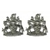 Pair of Devon & Exeter Joint Constabulary Collar Badges