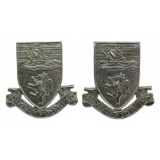 Pair of Devon Constabulary Collar Badges