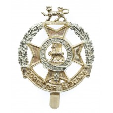 Forester Brigade Anodised (Staybrite) Cap Badge