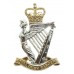 Royal Irish Rangers Anodised (Staybrite) Cap Badge