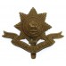 Worcestershire Regiment Cap Badge