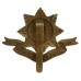 Worcestershire Regiment Cap Badge