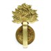 Canadian Les Fusiliers Mont Royal Cap Badge - Queen's Crown