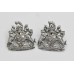 Pair of Devon and Exeter Joint Constabulary Collar Badges