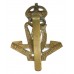 Royal Irish Regiment Cap Badge - King's Crown