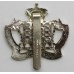 Royal Gloucestershire Hussars Anodised (Staybrite) Cap Badge