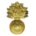 Canadian Les Fusiliers Mont Royal Cap Badge - King's Crown