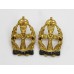 Pair of Queen Alexandra's Royal Army Nursing Corps (Q.A.R.A.N.C.) Officer's Collar Badges - King's Crown