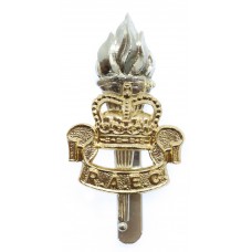Royal Army Educational Corps (R.A.E.C.) Anodised (Staybrite) Cap Badge