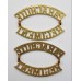 Pair of Parachute Regiment (PARACHUTE/REGIMENT) Shoulder Titles