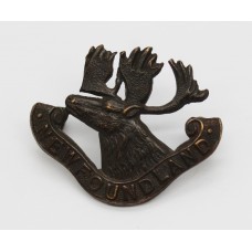 Scarce 1st Newfoundland Regiment Cap Badge (c.1914-18)