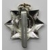 Devonshire Regiment Anodised (Staybrite) Cap Badge - Queen's Crown