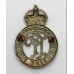 Palestine Police Cap Badge - King's Crown