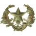 The Cameronians (Scottish Rifles) Cap Badge