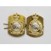 Pair of Army Catering Corps (A.C.C.) Anodised (Staybrite) Collar Badges