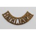 Royal Irish Regiment (ROYAL IRISH) Shoulder Title