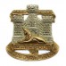 Devon & Dorset Regiment Bi-metal Cap Badge