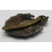 King's Own Malta Regiment Cap Badge - King's Crown