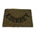 East Surrey Regiment (E.SURREY) WW2 Cloth Slip On Shoulder Title