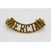 Mercian Regiment (MERCIAN) Shoulder Title