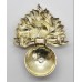 Royal Regiment of Fusiliers Anodised (Staybrite) Cap Badge