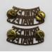 Pair of Princess of Wales's Royal Regiment (PRINCESS/OF WALES'S) Shoulder Titles