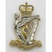 Royal Irish Rangers Bi-metal Cap Badge - Queen's Crown