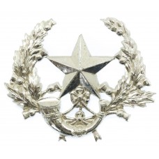 Cameronians (Scottish Rifles) Anodised (Staybrite) Cap Badge