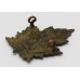 Canadian 5th Mounted Rifles (Amherst, Nova Scotia) C.E.F. WWI Cap Badge