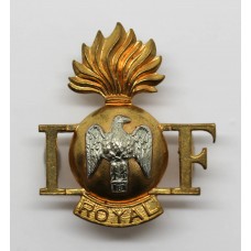 Royal Irish Fusiliers Shoulder Title